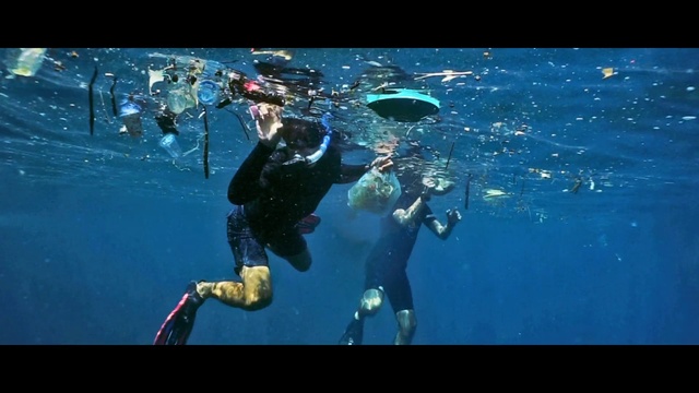 Video Reference: Water, Underwater diving, Diving equipment, Divemaster, Scuba diving, Underwater, World, Dry suit, Organism, Diving mask