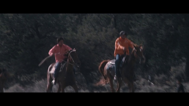 Video Reference: Shorts, Bicycle wheel, Working animal, Recreation, Sports, Fun, Racing, Landscape, Darkness, Pack animal