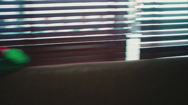 Video Reference: Window blind, Window, Shade, Wood, Fixture, Rectangle, Tints and shades, Window covering, Glass, Window treatment