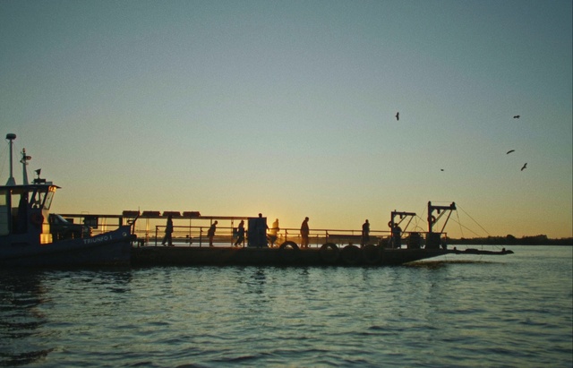 Video Reference: Water, Sky, Afterglow, Dusk, Sunset, Sunrise, Watercraft, Sunlight, Boat, Cloud