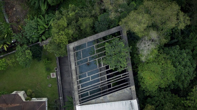 Video Reference: Plant, Slope, Building, Urban design, Tree, Condominium, Landscape, Wood, Groundcover, Grass