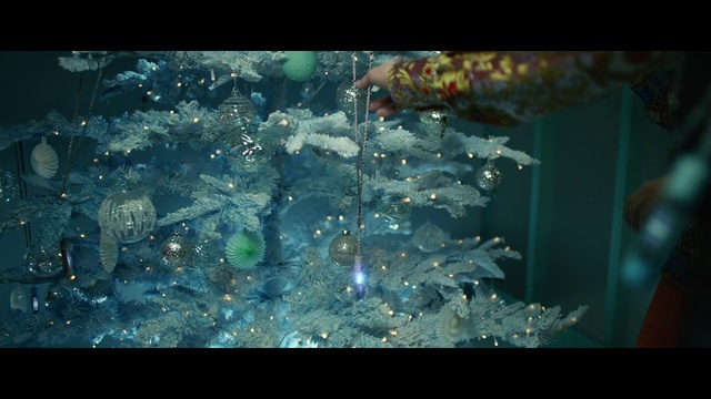 Video Reference: Water, Liquid, Nature, Window, Azure, Fluid, Organism, Marine biology, Font, Aqua