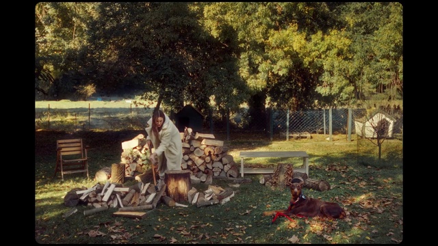 Video Reference: Plant, Vertebrate, Tree, Mammal, Grass, Art, Landscape, Adaptation, Painting, Tints and shades