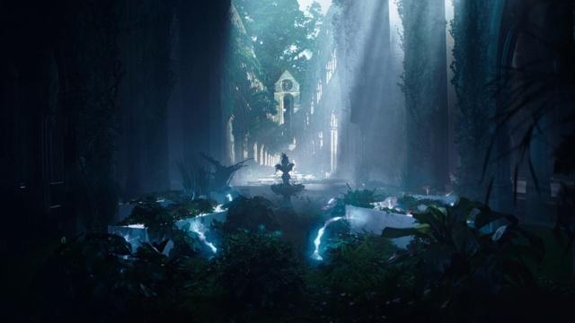 Video Reference: Natural environment, Plant, Terrestrial plant, Tree, Electric blue, Midnight, Darkness, Natural landscape, Forest, Landscape