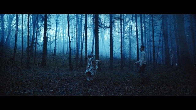 Video Reference: Atmosphere, Plant, Sky, People in nature, Tree, Natural landscape, Flash photography, Wood, Branch, Trunk