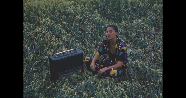 Video Reference: Plant, People in nature, Flash photography, Grassland, Grass, Agriculture, Landscape, Office equipment, Meadow, Grass family