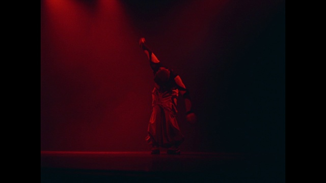 Video Reference: Human body, Performing arts, Entertainment, Magenta, Music, Font, Event, Choreography, Electric blue, Artist