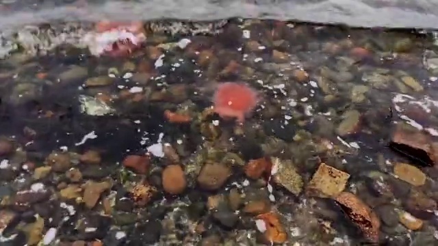 Video Reference: Fluid, Liquid, Food, Water, Mixture, Cuisine, Soil, Pollution, Rock, Dish