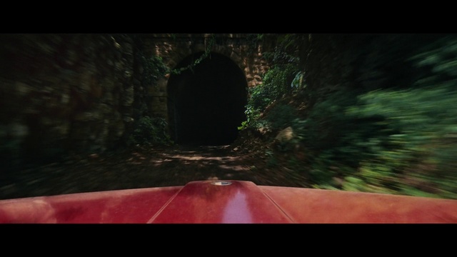 Video Reference: Plant, Leaf, Automotive lighting, Natural landscape, Road surface, Wood, Asphalt, Tree, Sky, Grass