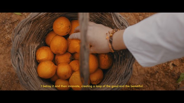 Video Reference: oranges, basket, fruit, hand, harvest, produce, wicker, top-down, close-up, subtitle, farm, citrus, rustic, food, collection