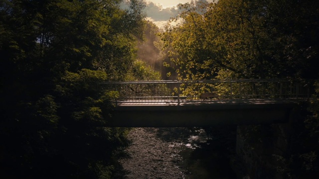 Video Reference: Water, Sky, Natural landscape, Wood, Branch, Sunlight, Landscape, Tints and shades, Grass, Riparian zone