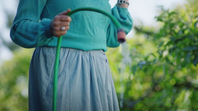 Video Reference: Outerwear, Dress, Neck, Sleeve, Street fashion, Grass, People in nature, Happy, Waist, Electric blue