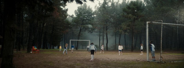 Video Reference: Atmosphere, Sports equipment, Shorts, Natural environment, Tree, Player, Grass, Atmospheric phenomenon, Football, Leisure
