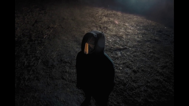 Video Reference: Atmosphere, Bird, Beak, Flash photography, Grey, Road surface, Asphalt, Tints and shades, Wing, Tree