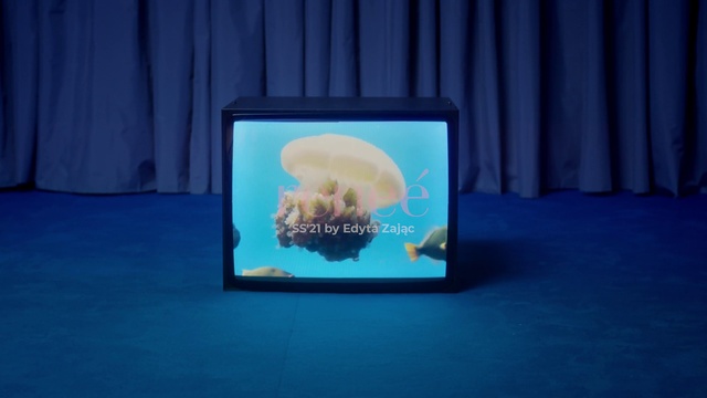 Video Reference: Blue, Purple, Jellyfish, Flat panel display, Aqua, Gadget, Electric blue, Curtain, Display device, Multimedia