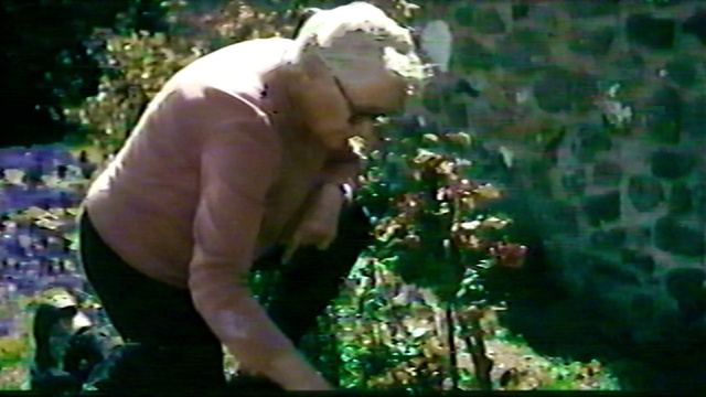 Video Reference: People in nature, Grass, Chest, Art, Barechested, Event, Beard, Plant, Shrub, Thumb