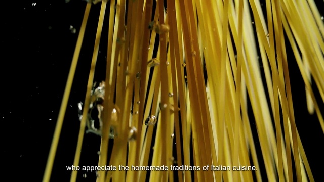 Video Reference: Plant, Terrestrial plant, Wood, Flowering plant, Pattern, Macro photography, Grass, Plant stem, Vascular plant, Twig