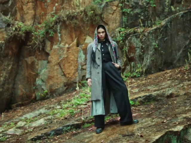 Video Reference: Plant, People in nature, Leaf, Wood, Fawn, Natural landscape, Grass, Trunk, Tree, Jacket