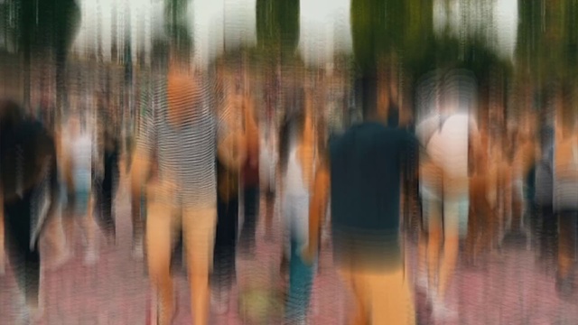 Video Reference: Branch, Wood, Fawn, Natural landscape, Grass, Tree, Landscape, Forest, Fun, Reflection