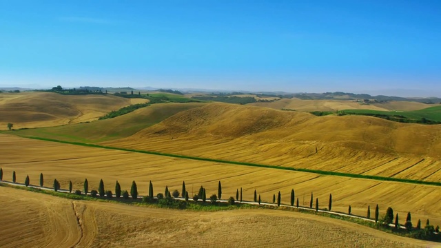 Video Reference: Sky, Plant, Tree, Natural landscape, Slope, Cloud, Agriculture, Terrain, Grass, Horizon