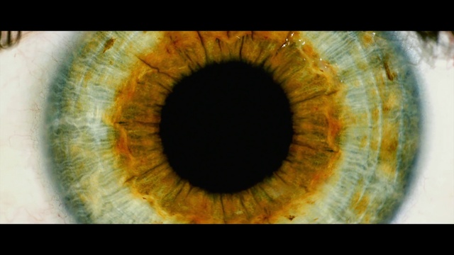 Video Reference: Eyelash, Organism, Symmetry, Circle, Art, Close-up, Macro photography, Visual arts, Electric blue, Event