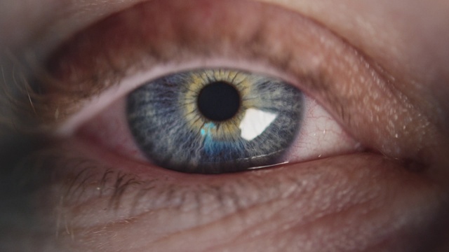 Video Reference: Head, Eyelash, Human body, Iris, Cameras & optics, Lens, Wrinkle, Tints and shades, Electric blue, Nerve