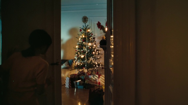 Video Reference: Christmas tree, Christmas ornament, Holiday ornament, Wood, Ornament, Plant, Christmas decoration, Evergreen, Living room, Tints and shades