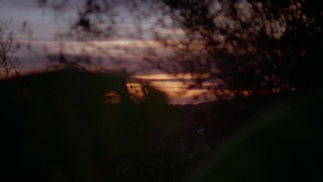 Video Reference: Cloud, Sky, Natural landscape, Dusk, Wood, Cumulus, Grass, Landscape, Tints and shades, Horizon