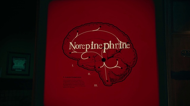 Video Reference: Art, Font, Tints and shades, Magenta, Pattern, Symmetry, Circle, Graphics, Carmine, Visual arts