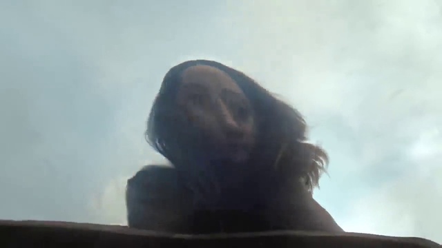 Video Reference: Sky, Cloud, Tints and shades, Snout, Beard, Wing, Fur, Feather, Landscape, Lens flare