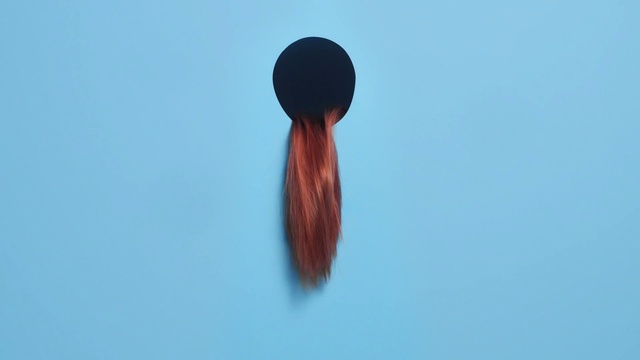 Video Reference: Hair, Sky, Marine invertebrates, Feather, Electric blue, Fashion accessory, Audio equipment, Wood, Tail, Font