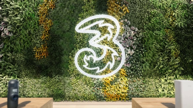 Video Reference: Plant, Botany, Vegetation, Art, Tree, Automotive tire, Shrub, Grass, Font, Wall