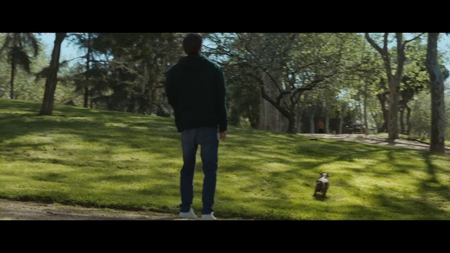 Video Reference: Plant, People in nature, Tree, Branch, Flash photography, Gesture, Natural landscape, Shade, Grassland, Recreation