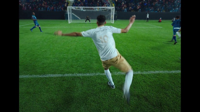 Video Reference: Shorts, Sports equipment, Football, Soccer, Plant, Ball, Grass, Player, Sportswear, Leisure