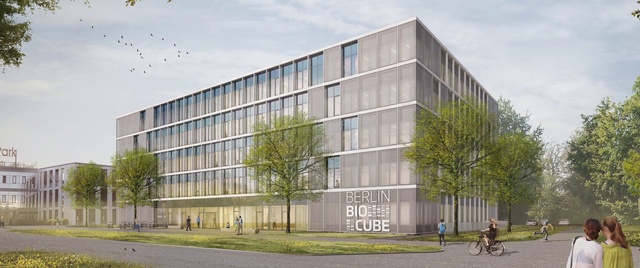 Video Reference: Sky, Plant, Building, Daytime, Cloud, Property, Wheel, Bicycle, Tree, Fixture