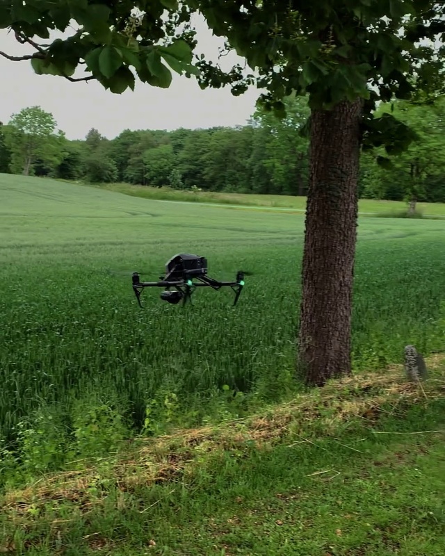 Video Reference: Plant, Vertebrate, Sky, Green, Wheel, Tree, Natural landscape, People in nature, Tire, Land lot