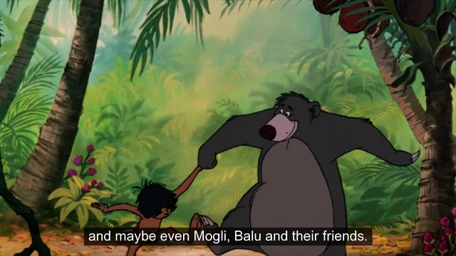 Video Reference: Plant, Vertebrate, World, Branch, Organism, Tree, Mammal, People in nature, Happy, Biome