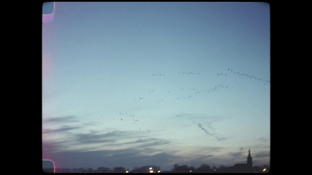 Video Reference: Cloud, Sky, Atmosphere, Bird, Light, Rectangle, Natural landscape, Horizon, Tints and shades, Electronic device