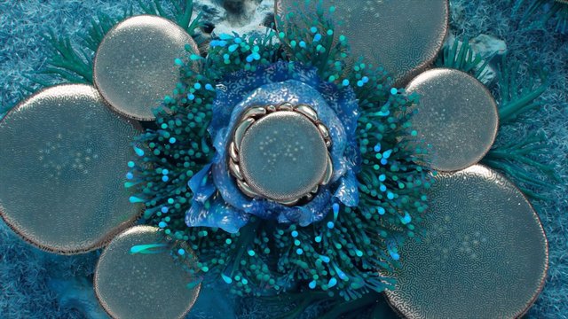 Video Reference: abstract, sculpture, close-up, blue, teal, metallic, circular, floral, coral, texture, decorative, underwater, organic, artistic, symmetrical