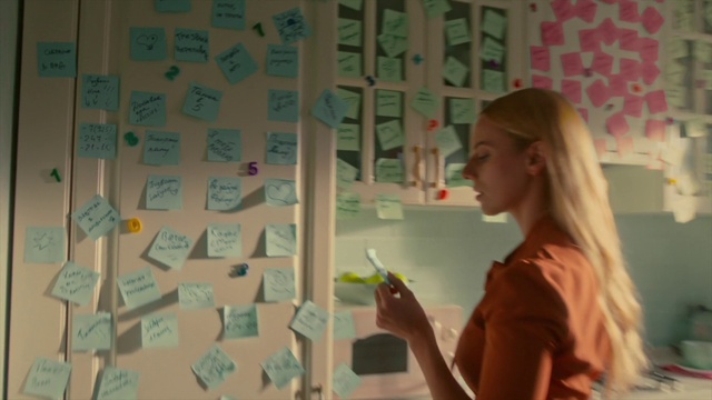 Video Reference: Photograph, Textile, Organism, Art, Post-it note, Wall, Line, Adaptation, Fun, Leisure
