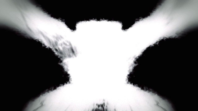 Video Reference: Plant, Eye, Sky, Tree, Whiskers, Snout, Font, Symmetry, Darkness, Monochrome photography