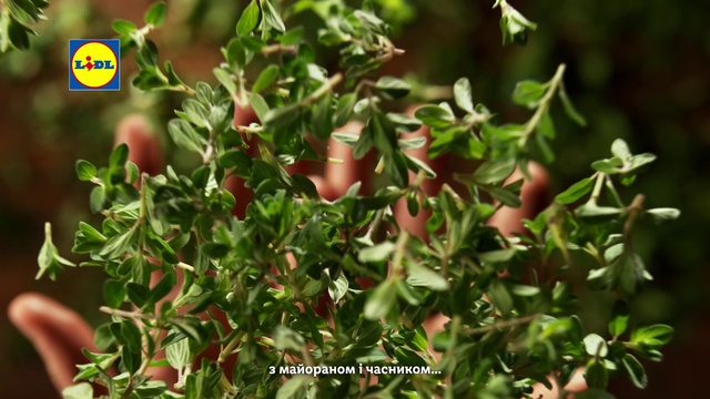 Video Reference: Plant, Terrestrial plant, Groundcover, Flowering plant, Shrub, Subshrub, Herb, Non-vascular land plant, Tree, Herbaceous plant