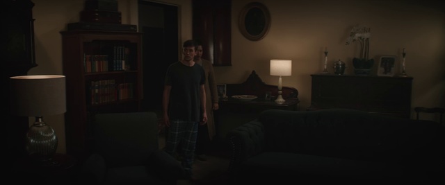 Video Reference: Bookcase, Shelf, Picture frame, Flash photography, Grey, Comfort, Wood, Living room, Couch, Flooring