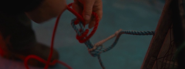 Video Reference: Electric blue, Wire, Fictional character, Personal protective equipment, Decapoda, Thumb, Human leg, Rope, Macro photography, Recreation