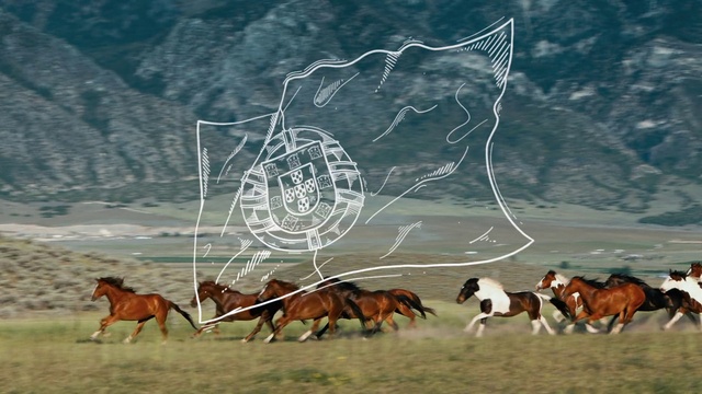 Video Reference: Horse, Ecoregion, Vertebrate, Working animal, Mammal, Sorrel, Grazing, Natural landscape, Grass, Landscape