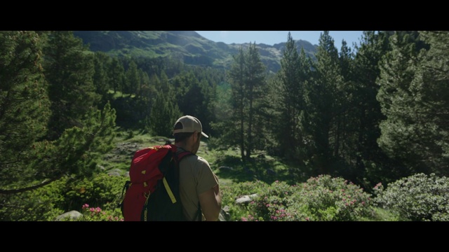 Video Reference: Plant, Mountain, People in nature, Natural landscape, Tree, Terrestrial plant, Travel, Hat, Landscape, Mountainous landforms