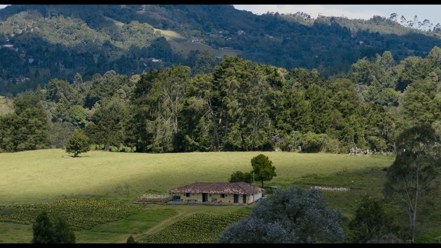 Video Reference: Plant, Mountain, Natural landscape, Sky, Tree, Land lot, Biome, Grass, Plain, Grassland