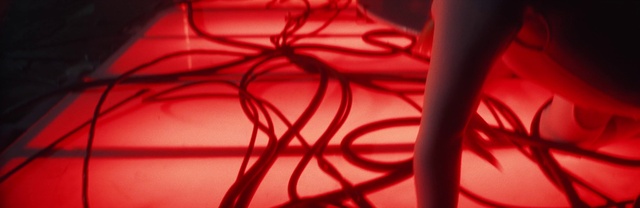 Video Reference: Window, Purple, Textile, Pink, Violet, Line, Magenta, Material property, Tints and shades, Pattern