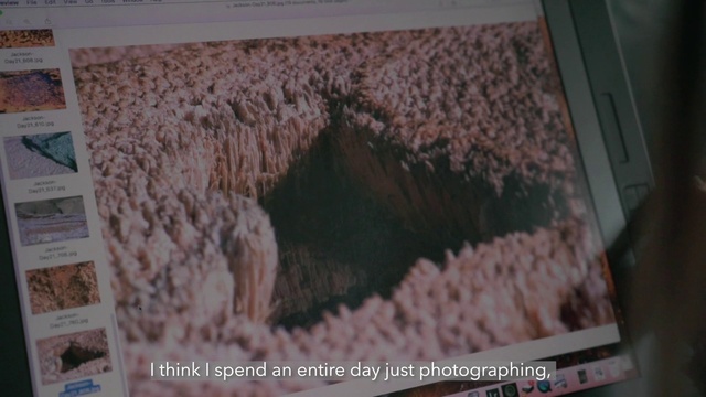 Video Reference: Textile, Organism, Wood, Font, Art, Rectangle, Flooring, Pattern, Magenta, Wool