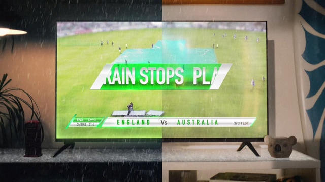 Video Reference: Font, Flat panel display, Rectangle, Display device, Multimedia, Technology, Plant, Signage, Projector accessory, Tree